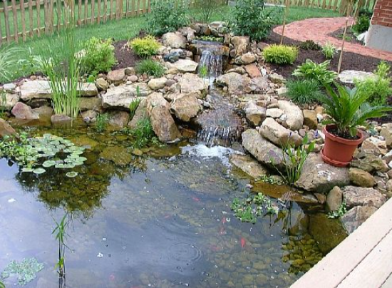 Cleaner Ponds – Your Guide to a Healthier, More Beautiful Water Feature