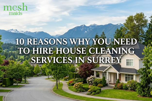10 Reasons Why You Need to Hire House Cleaning Services in Surrey
